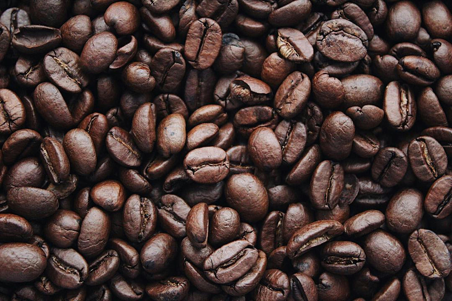 Fuchs Cosmetics Kaffeeextrakt